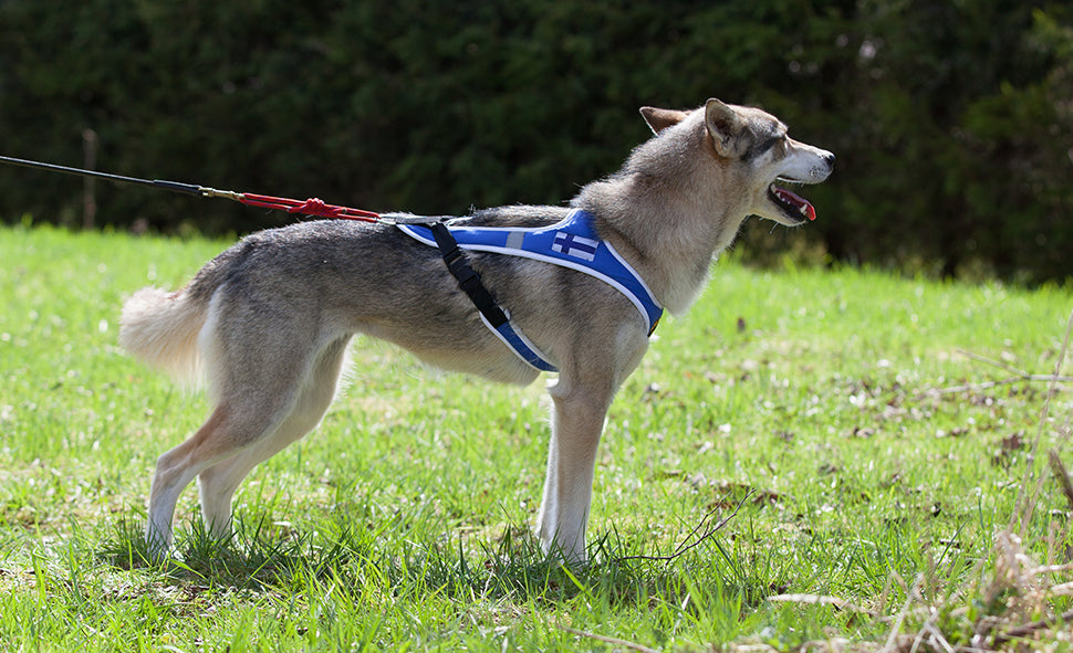 Howling dog Alaska Second Skin Harness